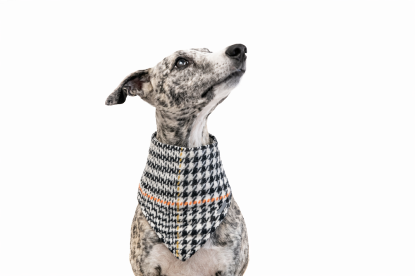 Šátek pro psa HOUNDSTOOTH Šátek pro psa HOUNDSTOOTH