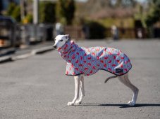 MELON SPLASH RAINCOAT – ľahká softshellová pláštenka pre psy