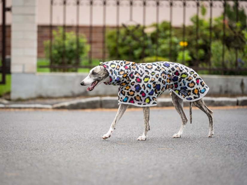 Ultralehká pláštěnka pro psy – RAIN TO GO Leopard Pop