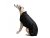 CORDURA® Dog Overcoat, Fleece-Lined