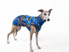 Blue Comfort light sweatshirt for a dog