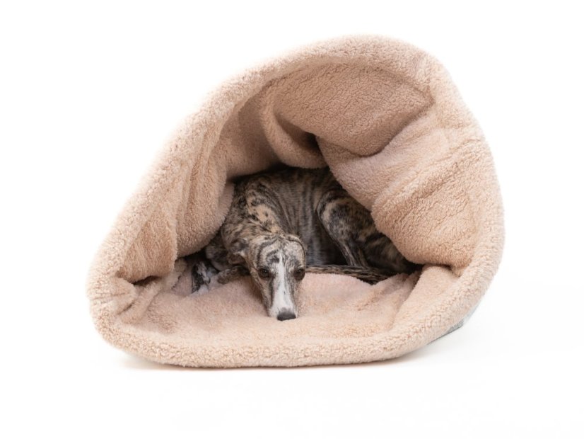 COMFORT Snuggle Sack for Dogs