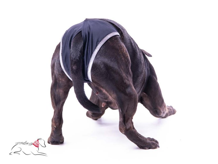 Hygienické kalhotky