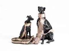 Design leash with reflex collar