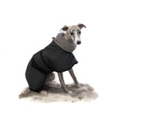Solid black stitched jacket with fleece neck
