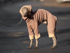 ComfyDog Overal s Kapucí