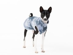 Mikina BATIK pro psy s ocáskem nahoru