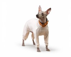 Bamboo NakedCare Suit – ochranný overal pro citlivou pokožku