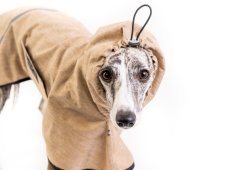 Cordura Pláštěnka pro trhače – Odolná ochrana pro aktivní psy