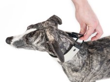 VYPÚŠŤACÍ OBOJOK