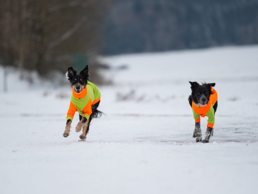 DUO ThermoFlex | sportovní MIKINA pro psy