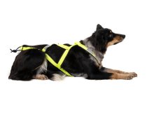 NeonTrail PRO Mushing Postroj – neon žltá (Limited Edition)