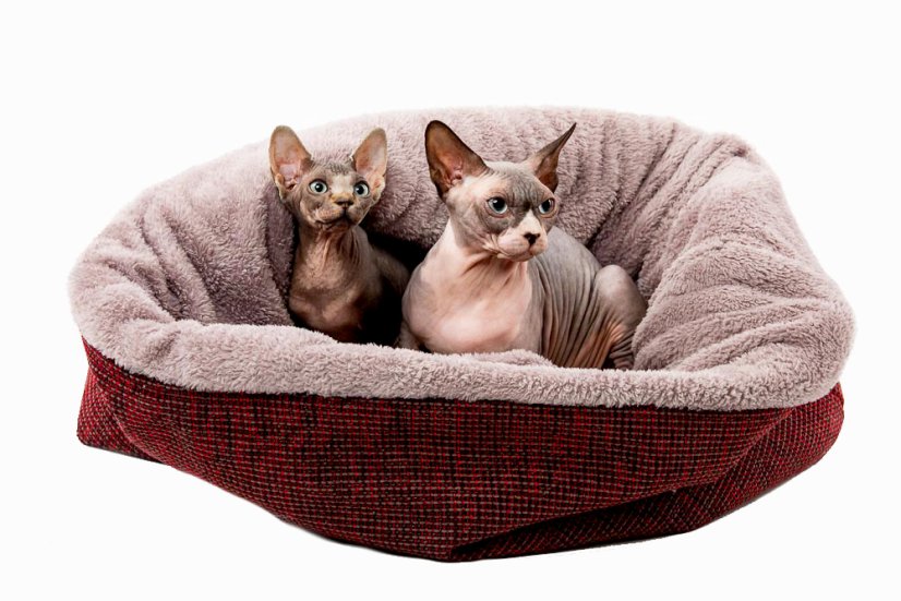 COMFORT Snuggle Sack for Dogs