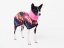 Basenji CODURA LISTY bunda podšitá