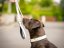 LIMITED EDITION – Waterproof Dog Collar & Leash Set with Reflective Strip