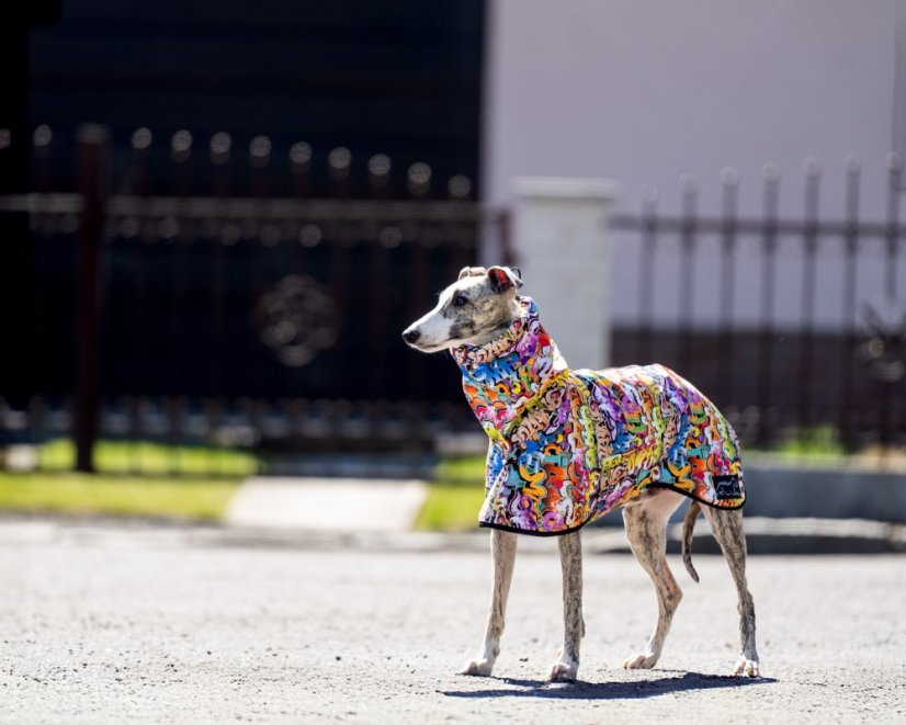 GRAFFITI RAINCOAT – ľahká softshellová pláštenka pre psy