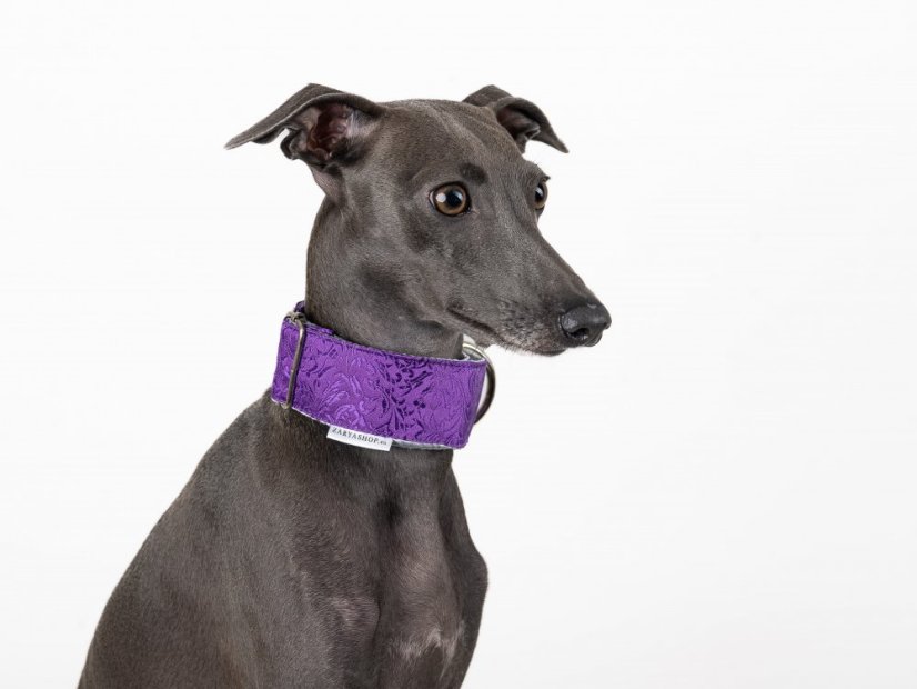 Brokátový luxusný obojok