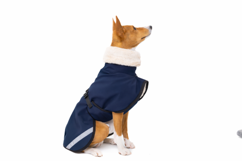 SoftShell Luxe – zimní hřejivá bunda pro psy s ocáskem nahoru