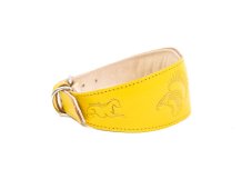 Kožený polstrovaný obojek pro chrty FangFlower