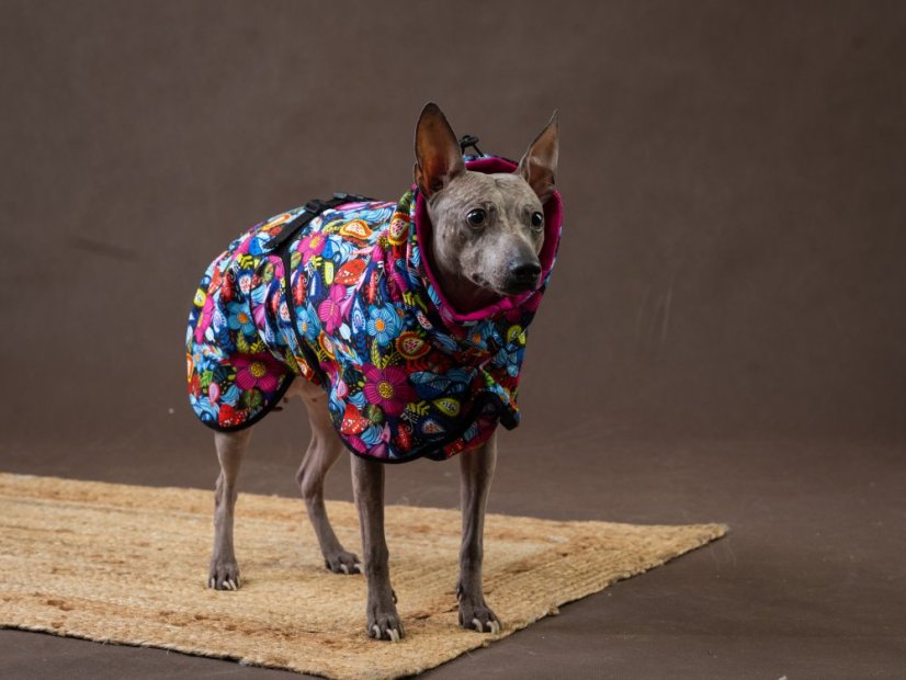 BLOOM NAKED PROTECT – softshell bunda pro psy