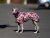 BLOOM ART RAINCOAT – lehká softshellová pláštěnka pro psy