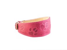 Kožený polstrovaný obojek pro chrty s motivem packy