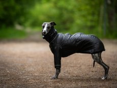 RAIN GUARD PRO – 100% nepromokavá pláštěnka pro psy