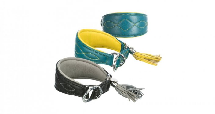 ACTIVE Comfort leather collar for greyhounds - Bolor: black leather, Size: S:27-35cm/55mm
