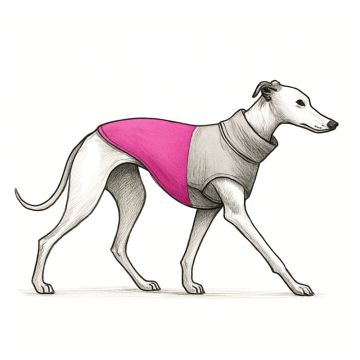 Psí oblečení outdoor pro psy