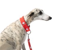 Collar SWISS RED