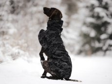 Termobunda - LUMI, vel. L1