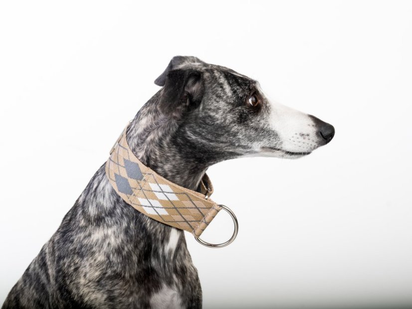 Minimal Argyle Collar – polostahovací obojek