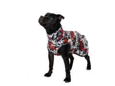 Rebel Style Sweatshirt for Tail-Up Dogs