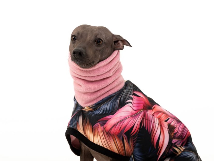 Basenji CODURA LISTY bunda podšitá