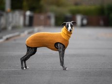 CARDIGAN LIMITED COLLECTION