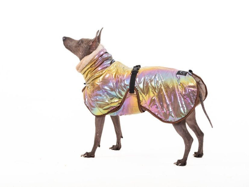 THERMOCOAT CHROMA TAIL – zimní bunda pro psy s ocáskem nahoru