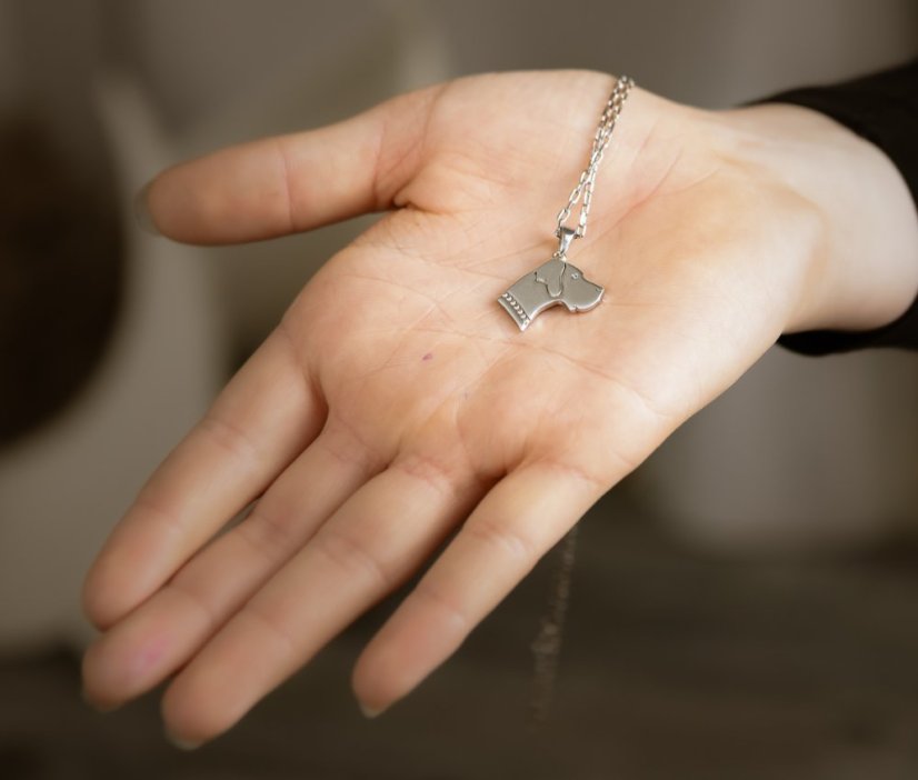 Nemecká doga silueta