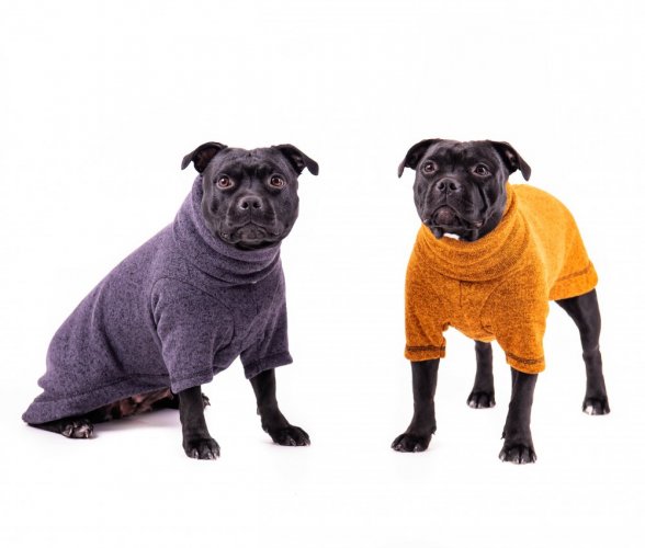 Wanted long svetr pro psa