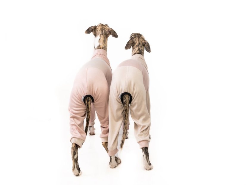 BambooCare Pyžámko ZARYA – bambusový overal pro psy pro dokonalou domácí pohodu