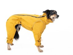 TeryRain AllDay Overall – universal rain overall for dogs