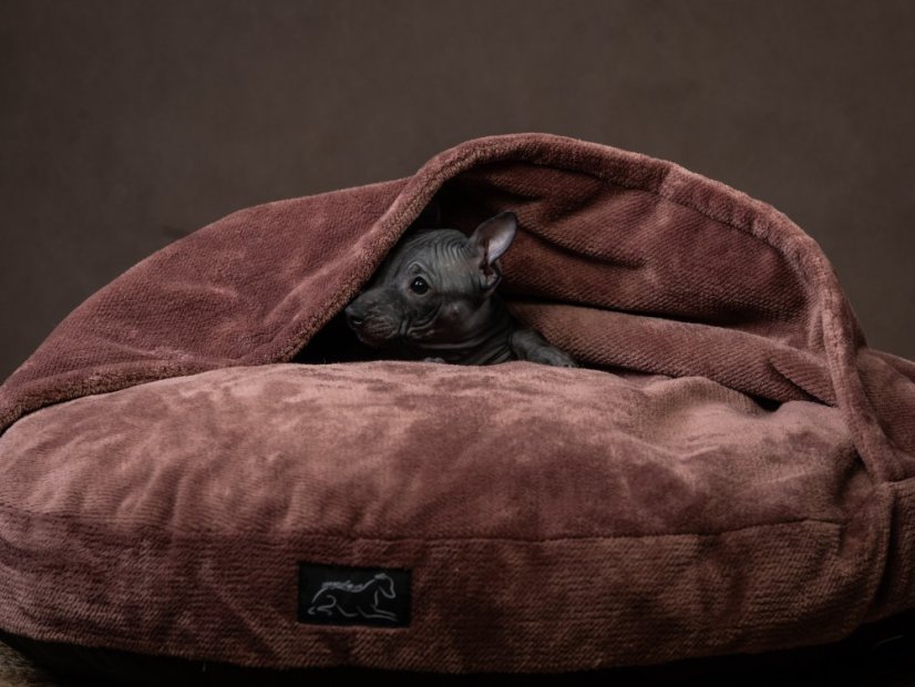 Kulatý Ortho pelíšek PET Friendly