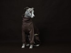 Merino overal pro psy – 100% MERINO | MUST HAVE 2026