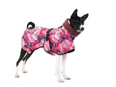 Africa Flamingo – Waterproof Jacket for Tail-Up Dogs