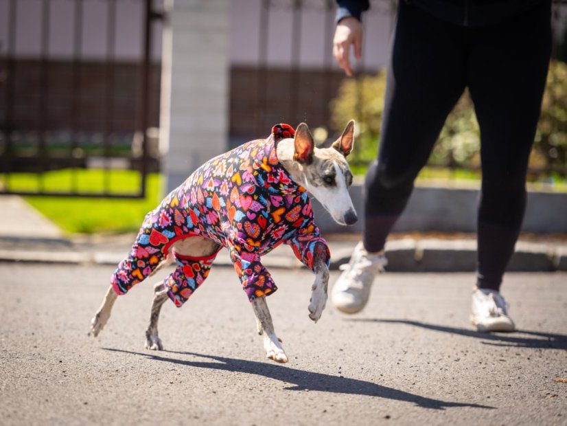 HEART ATTACK SUIT - overal pro psy