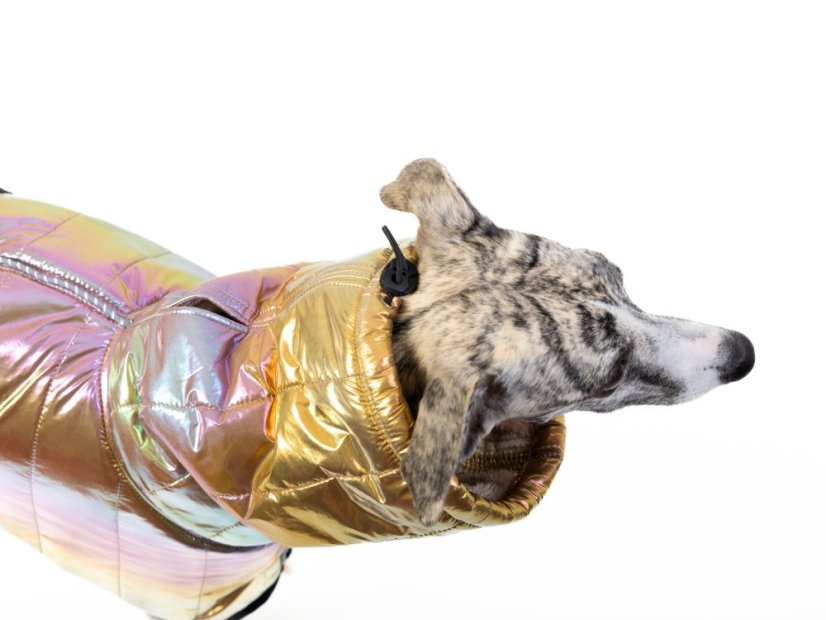 THERMOCOAT CHROMA – zimní bunda pro psa