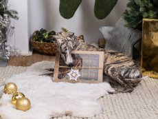 Vitamínová BONBONIÉRA pro psy 1000g