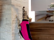 MAGENTA FLEX – funkčná mikina pre psov