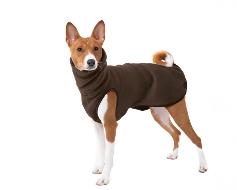 Merino svetr pro psy | Tail-Up (ocásek nahoru) – 100% MERINO | MUST HAVE 2026