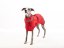 Thermoregulatory Raincoat for Dogs OMNI-HEAT
