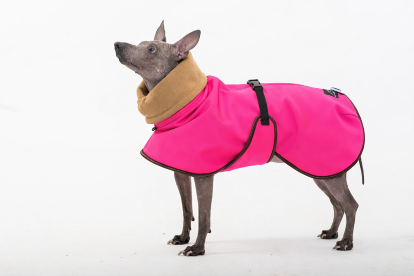 Arctic Tail Shell – zimní bunda pro psy s ocáskem nahoru